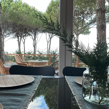 Beachfront In Qerret With A Private Pool * 格勒姆