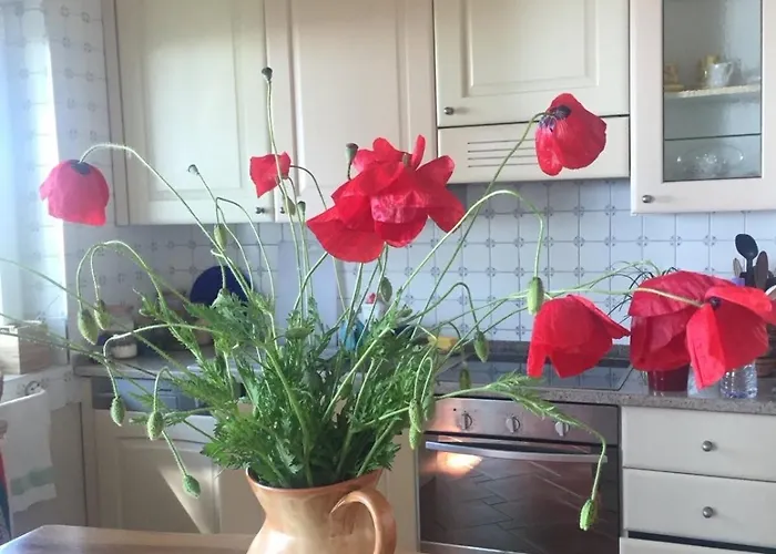 Beachfront In Qerret With A Private Pool 别墅 *